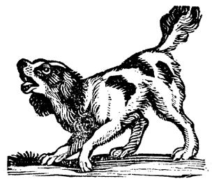 Dog1 barking
