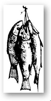 Fish3 catch