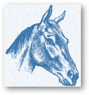 Horse blue