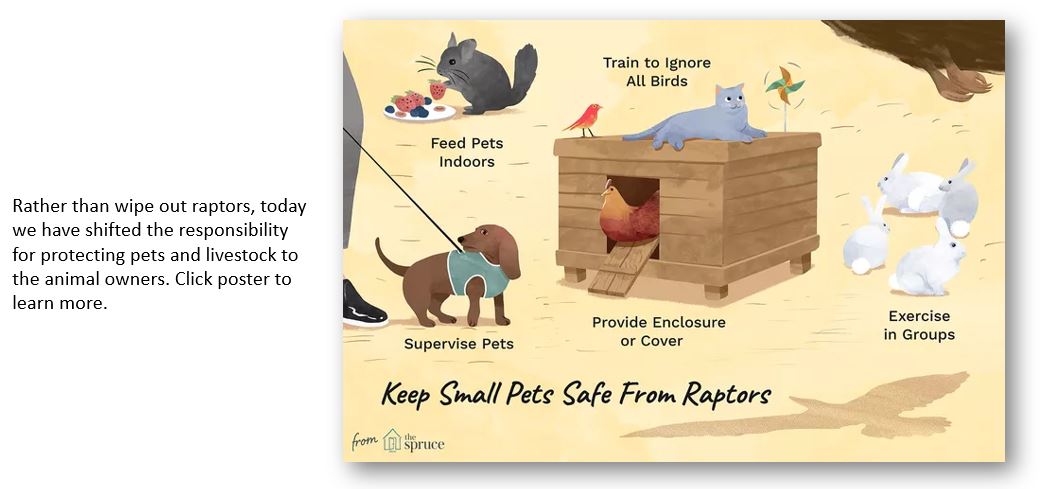 ProtectPets